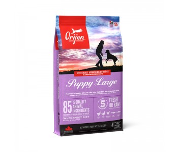 Orijen Puppy Large 11.4кг